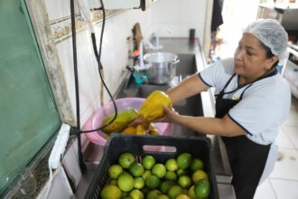 Sepror divulga lista preliminar de entidades credenciadas no edital do Programa de Combate ao Desperdício de Alimentos