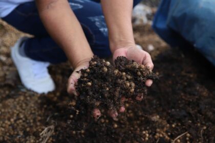 Dia Nacional da Educação Ambiental: Sepror destaca ações de práticas sustentáveis em escolas e comunidades rurais