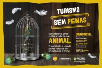 Festival de Parintins 2025: Amazonastur reforça campanha “Turismo sem Penas” para prevenir uso ilegal de penas naturais