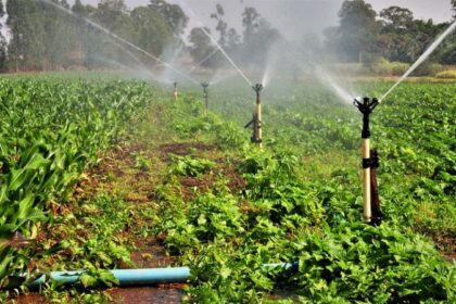 Comissão debate descontos de energia elétrica em atividades de irrigação e aquacultura