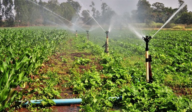 Comissão debate descontos de energia elétrica em atividades de irrigação e aquacultura