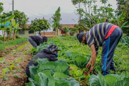 Comissões debatem situação do Proagro e do seguro rural