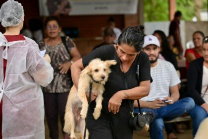 Sepet castra mais de 800 animais em ação de atendimento veterinário em Iranduba