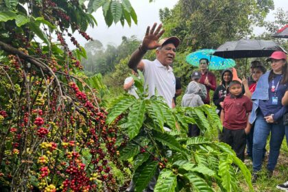 Agricultores da ASA, beneficiados por emendas do deputado João Luiz, realizam primeira colheita de café de 2025