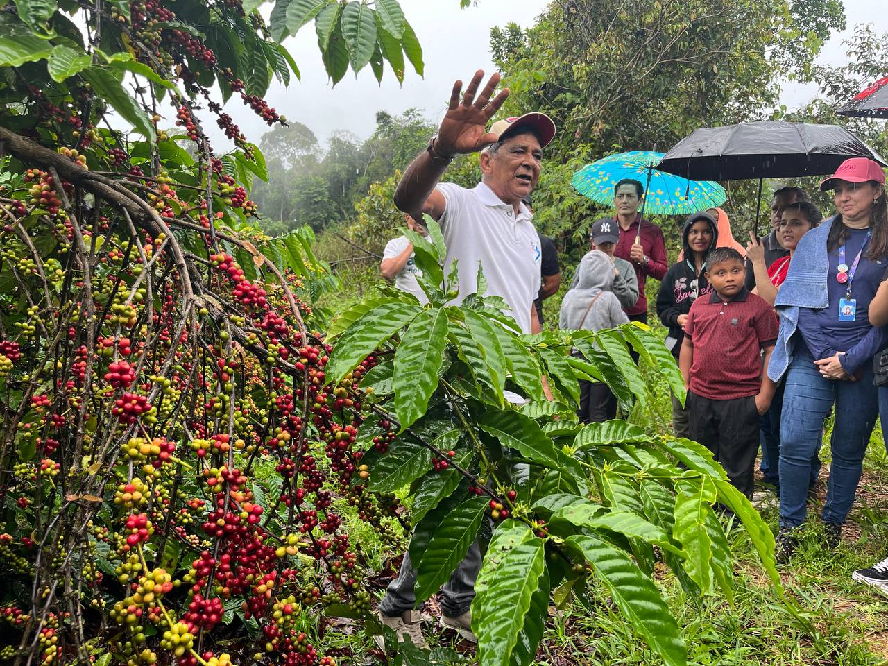 Agricultores da ASA, beneficiados por emendas do deputado João Luiz, realizam primeira colheita de café de 2025