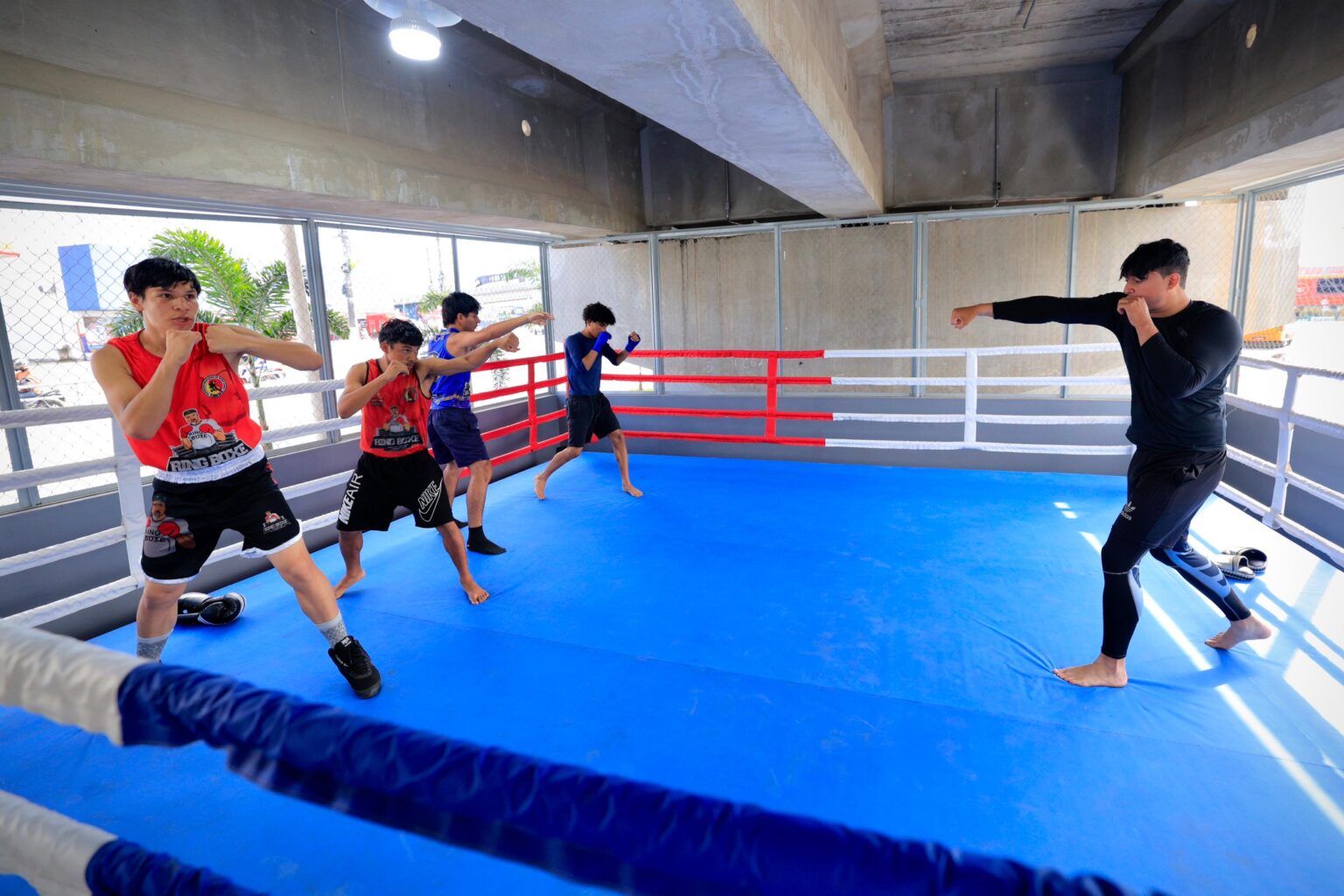 Boxe sob o viaduto Rei Pelé é gratuito