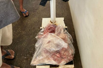 Ipaam apreende carne de capivara comercializada ilegalmente em feira de Itacoatiara