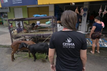 Comissão de Proteção Animal e Meio Ambiente da Aleam divulga balanço de atividades do primeiro semestre de 2025