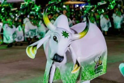 Em Parintins, revistas em quadrinhos resgatam história do Boi Mirim Estrelinha e celebram tradição infantil em Parintins