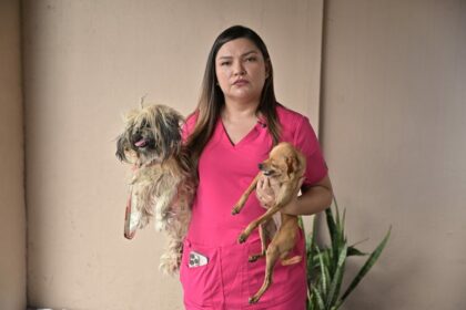 Deputada Joana Darc apresenta projeto que relaciona maus-tratos aos animais à violência doméstica