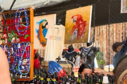 Festival de Parintins 2025: Feiras de Artesanato e economia solidária movimentam mais de R$ 3,2 milhões