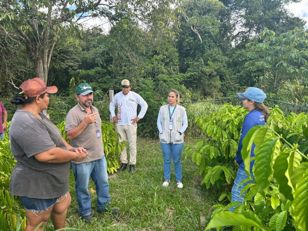 Em São Sebastião do Uatumã, demanda por crédito rural ultrapassa R$ 275 mil