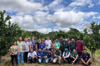 Em Iranduba, Idam divulga boas práticas sobre a citricultura para agricultores familiares