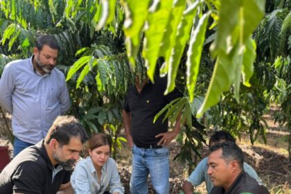 Sect orienta população da zona rural de Apuí sobre regularização fundiária