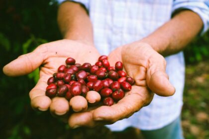 Dia Internacional do Cooperativismo: Sepror investe em cursos e apoio técnico para produtores cooperados