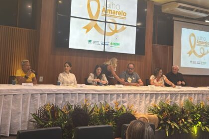 Servidores discutem linha de cuidados das hepatites virais em evento