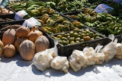 Governo do Amazonas adquire três toneladas de alimentos de produtores de Envira