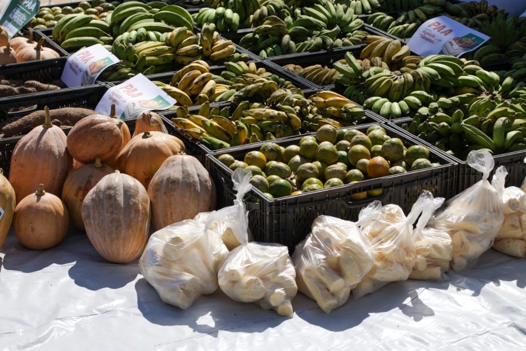 Governo do Amazonas adquire três toneladas de alimentos de produtores de Envira
