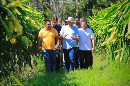 Prefeito em exercício Renato Junior visita plantação de pitaya no ramal do rio Branquinho