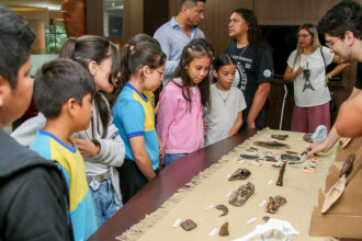 PMM realiza abertura de exposição de materiais fósseis
