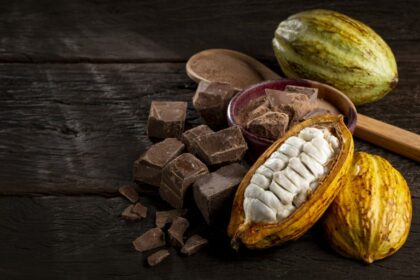 Comissão debate sustentabilidade na produção e na comercialização de cacau e chocolate