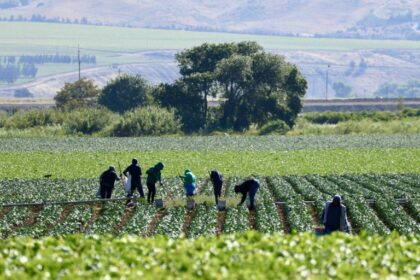 Comissão debate regras para contratação temporária de trabalhadores rurais
