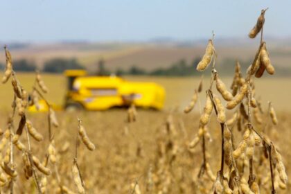 Balanço do semestre: aprovado uso do Fundo Social para ajudar agricultores atingidos por calamidades