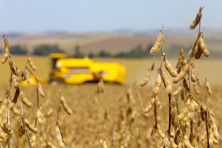 Balanço do semestre: aprovado uso do Fundo Social para ajudar agricultores atingidos por calamidades