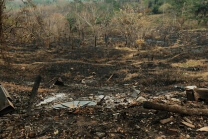 Comissão promove na Câmara a 3ª Virada Parlamentar Sustentável