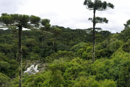 Balanço do semestre: aprovadas novas regras para o licenciamento ambiental