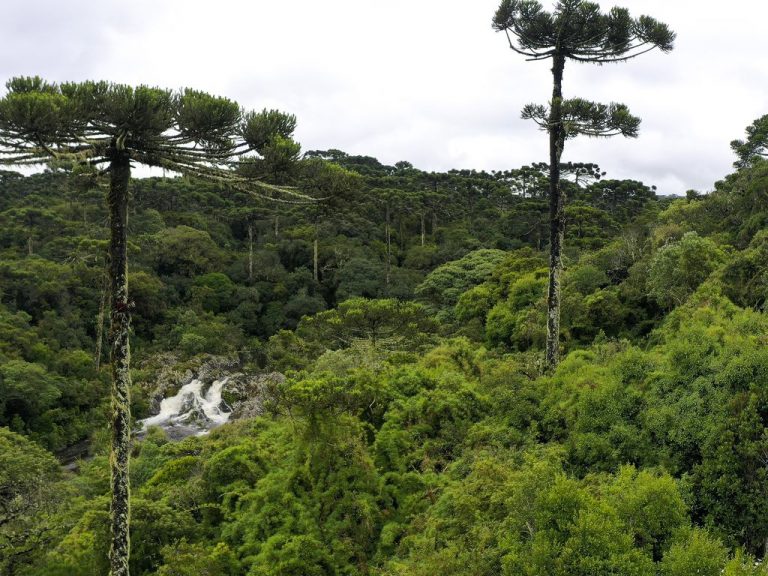 Balanço do semestre: aprovadas novas regras para o licenciamento ambiental