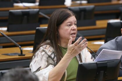 CCJ aprova garantia de aposentadoria rural para mulheres do campo identificadas como donas de casa