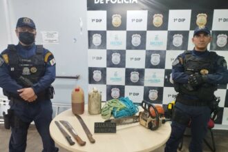 Prefeitura combate corte irregular de árvores em área pública