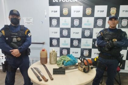 Prefeitura combate corte irregular de árvores em área pública
