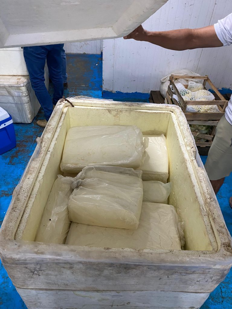 Em Parintins, Adaf apreende mais de 300 quilos de queijo de coalho e mariscos impróprios para o consumo
