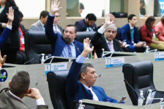 Câmara Municipal de Manaus aprova projeto que inclui curso de desengasgo no pré-natal