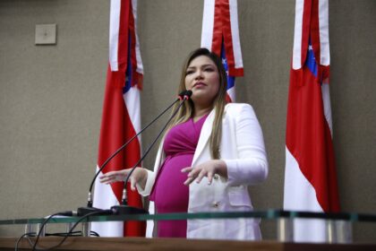 Deputados estaduais apresentam matérias legislativas em benefício de gestantes