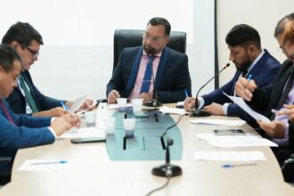 Em reunião da CCJR, Câmara aprova projetos voltados à proteção social, defesa da infância e causa animal