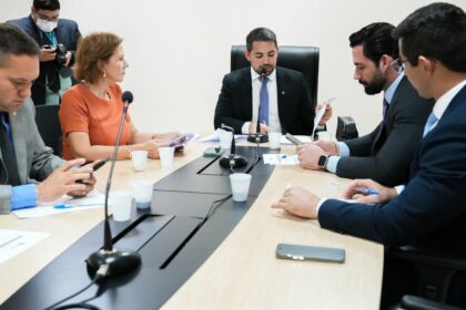 Em reunião, Comissão de Defesa dos Direitos da Pessoa com Deficiência apresenta balanço do primeiro semestre