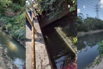 Governo do Amazonas apoia pesquisa sobre uso de fungos nativos da região como alternativa sustentável para o biotratamento da água