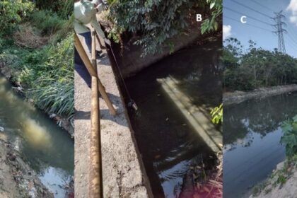 Governo do Amazonas apoia pesquisa sobre uso de fungos nativos da região como alternativa sustentável para o biotratamento da água