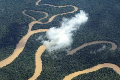 Amazonas tem queda de 93,4% nos registros de focos de calor em julho de 2025