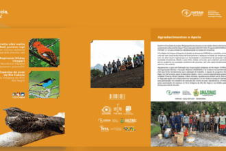 Com apoio do Governo do Amazonas, livro “Espécies de Aves do Rio Cubate: Terra Indígena do Alto Rio Negro” ganha prêmio Jabuti Acadêmico 2025