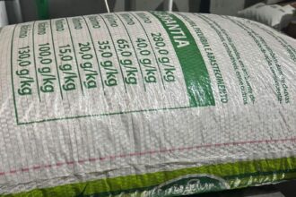 Operação Grandes Massas: Ipem-AM fiscaliza 10 toneladas de produtos