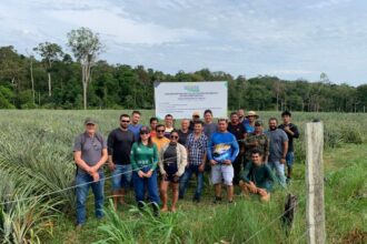 Em Novo Remanso, Idam oferece capacitação em Boas Práticas Agrícolas da Cultura do Abacaxi