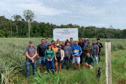 Em Novo Remanso, Idam oferece capacitação em Boas Práticas Agrícolas da Cultura do Abacaxi