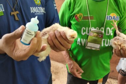 Dia da Avicultura: Idam presta assistência a mais de 25 mil produtores em todo o estado