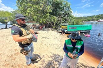 PMM realiza ação de fiscalização na praia do Tupé