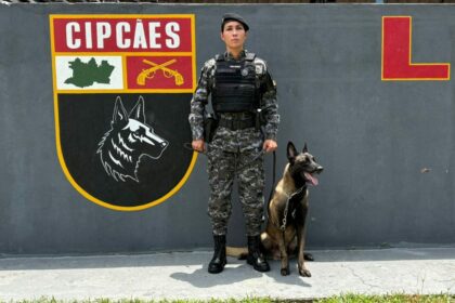 Setembro Verde: SEPcD divulga resultado para atividade lúdica com cães da Polícia Militar