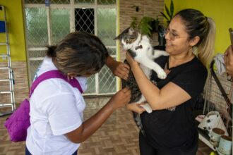Prefeitura divulga resultado preliminar do PSS de vacinadores para campanha antirrábica animal